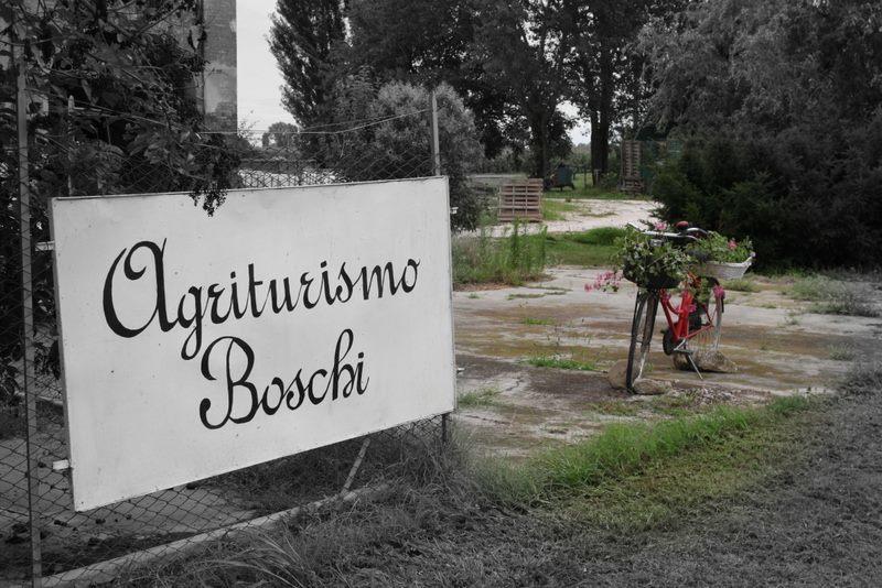 Agriturismo Boschi Reggiolo Exterior foto